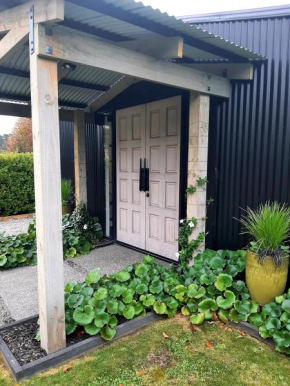 Tree View Studio, Tauranga